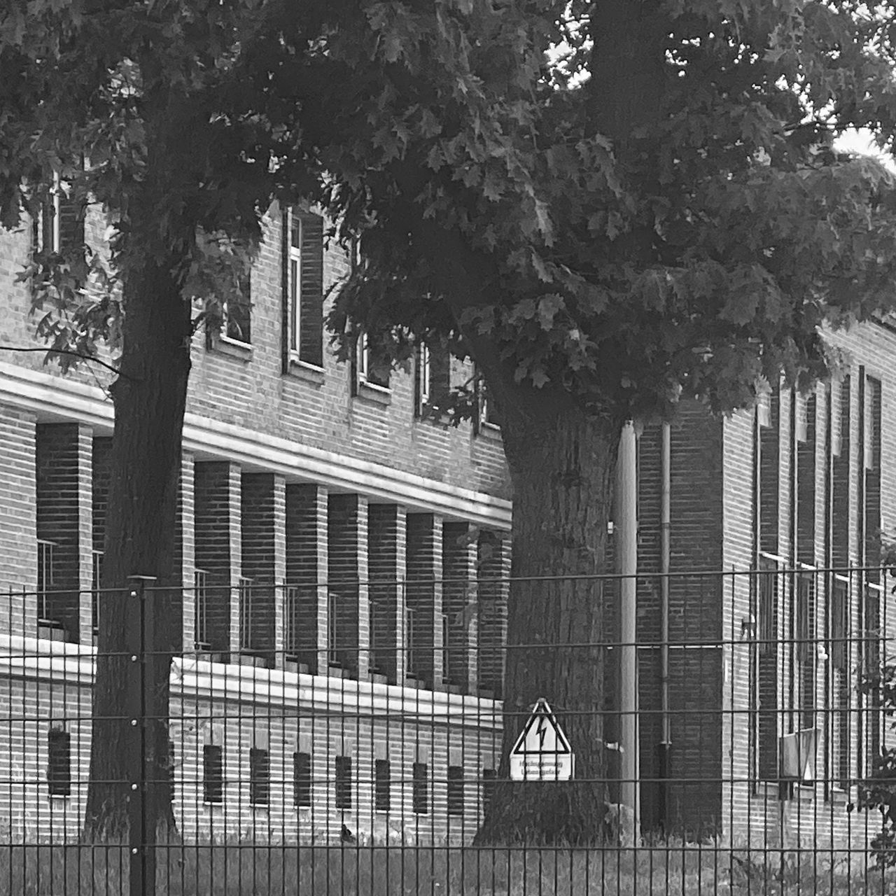 Bild ohne Beschreibung